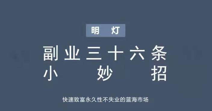 明灯副业三十六条小妙招之第八招快速致富永久性不失业的蓝海市场