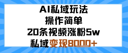 AI私域玩法，操作简单，20条视频涨粉5w，私域变现8k+
